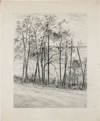 Чеботарёв Константин Константинович. Карабиха